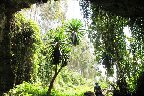 Busasamana Cave, part of Musanze caves in Rwanda