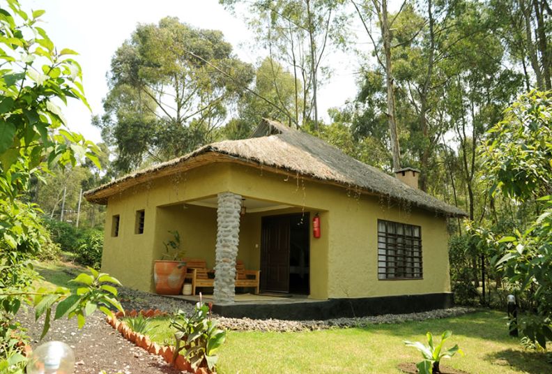 Enjoy the 3 days safari staying at Da Vinci Lodge